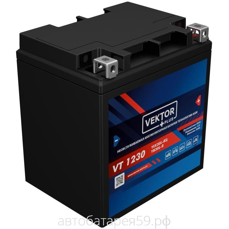 аккумулятор vektor plus vt 1230