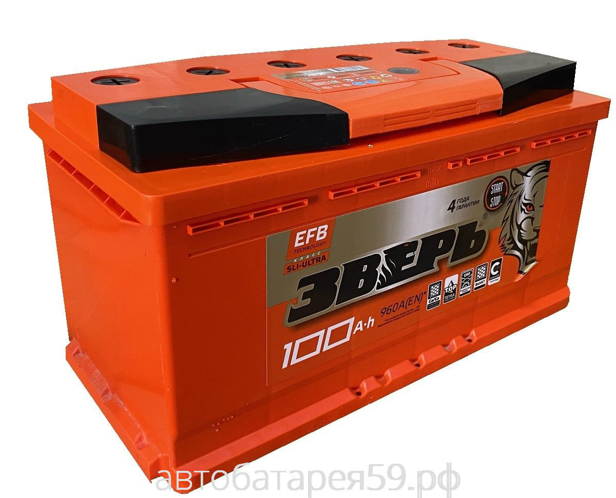 аккумулятор зверь 100 о.п. efb